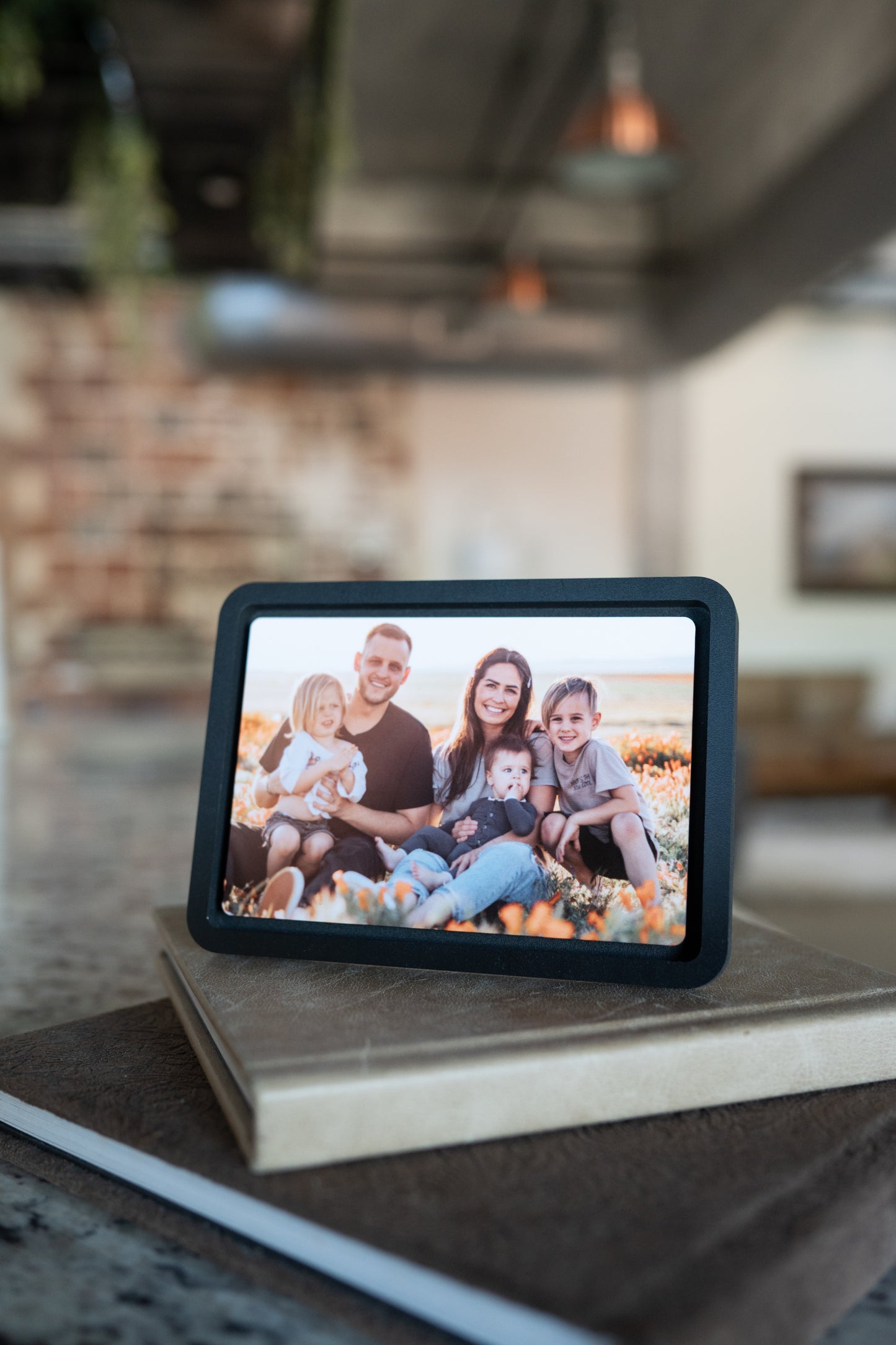 Economy Photo Float Mount