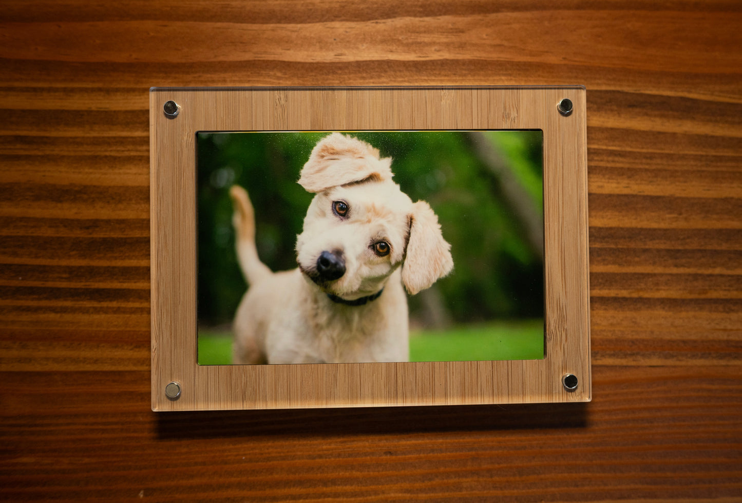 Modern Photo Box