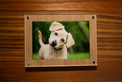 Modern Photo Box